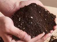 臭氧在农业种植（土壤基质、营养液、种子、棚内秧苗）中的应用