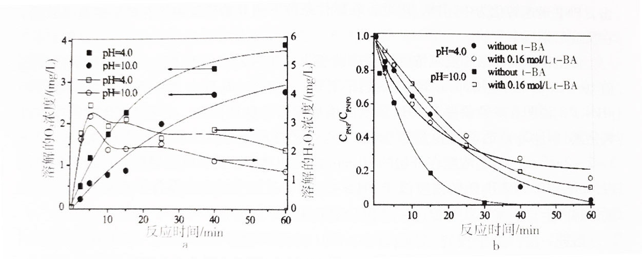 溶解的O?和H?O，浓度