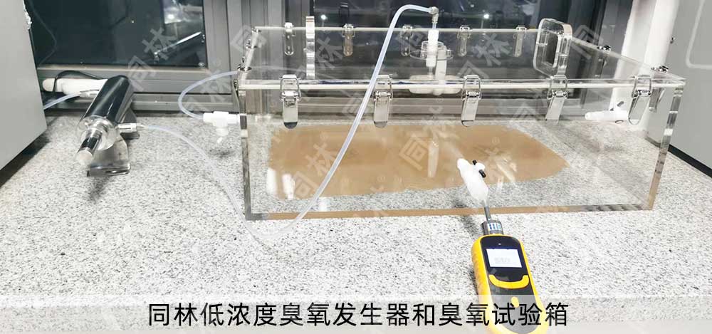 大白鼠臭氧暴露试验研究臭氧的致癌性