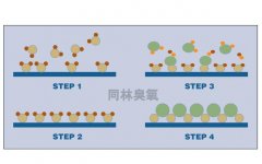 臭氧作为氧化前体在ALD加工中的应用