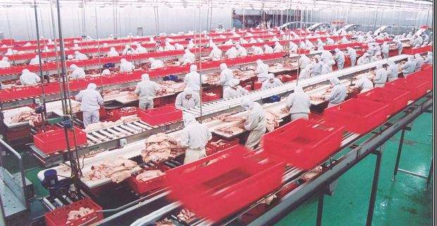 臭氧对肉制品车间消毒是如何进行的？