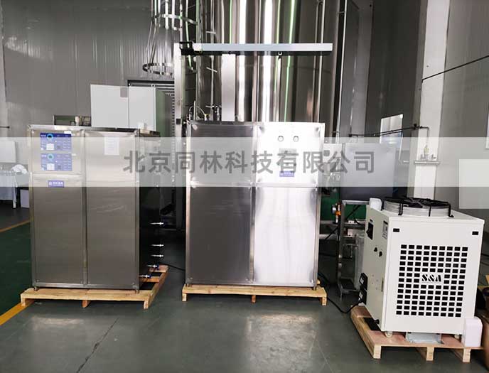 出口菲律宾200g臭氧发生器测试现场